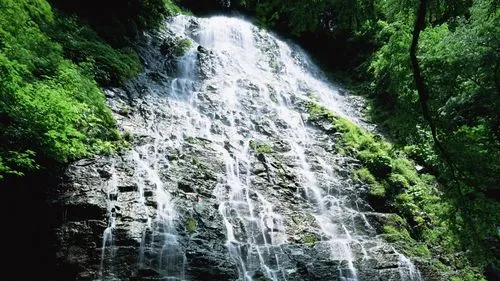 高标准可靠性